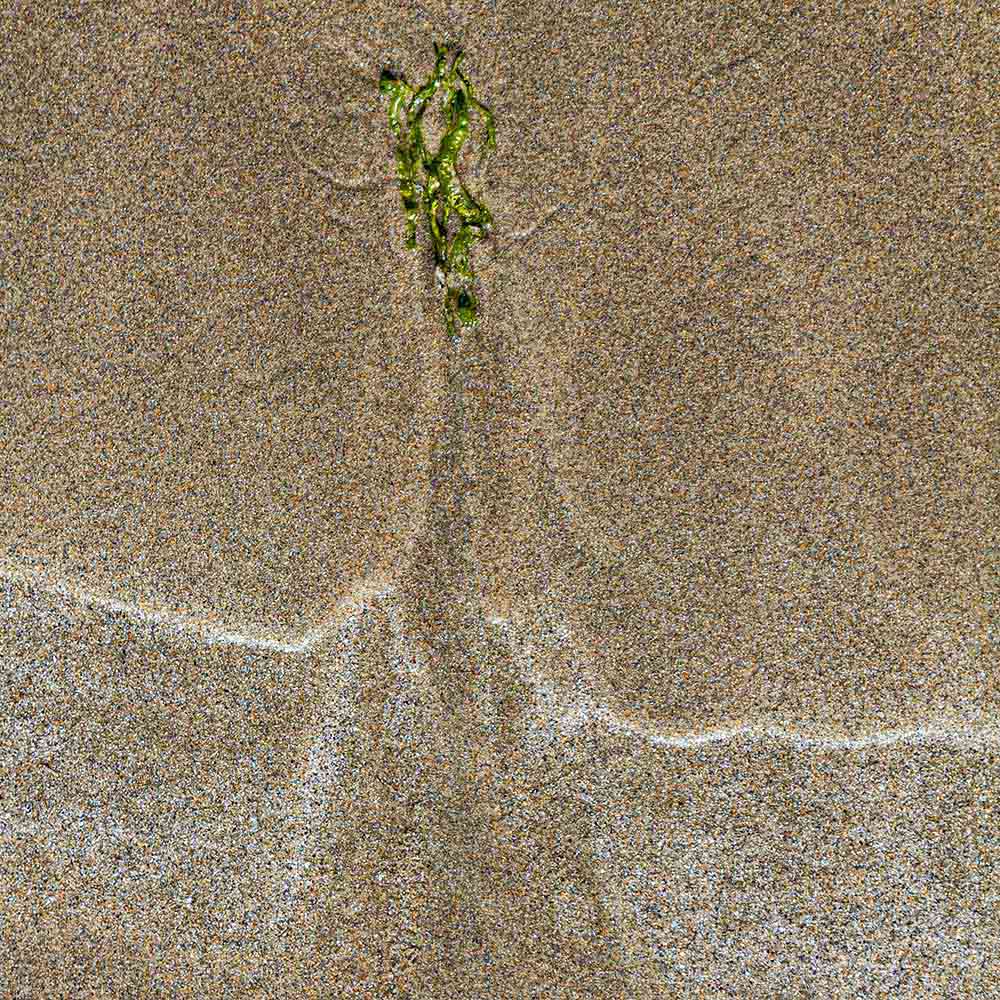 strands | green jewel like seaweed, sand and shadows on a Breton beach