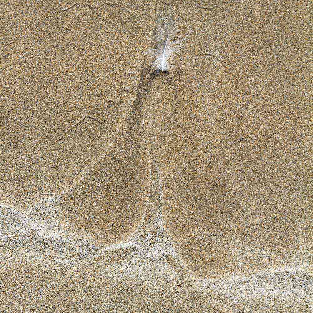 strands | A tiny white feather, sand and shadows on a Breton beach