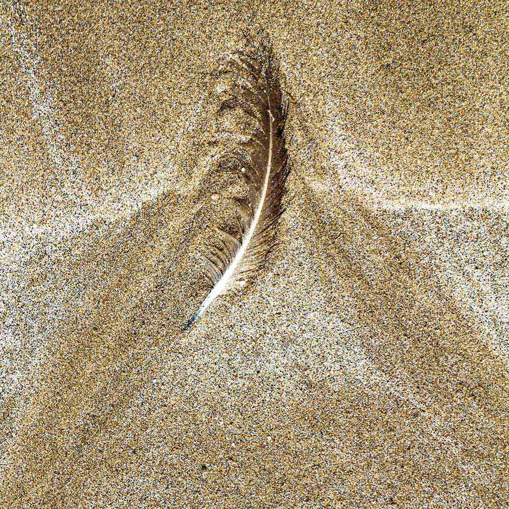 strands | A feather from a Herring Gull, sand patterns in a funnel shape, and shadows on a Breton beach