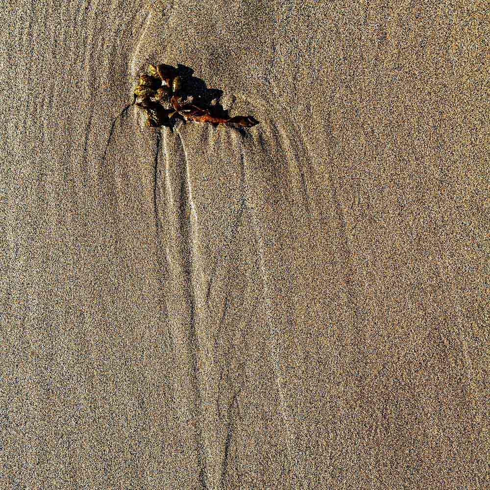 strands | Seaweed leaves arcs in the sand and shadows on a Breton beach