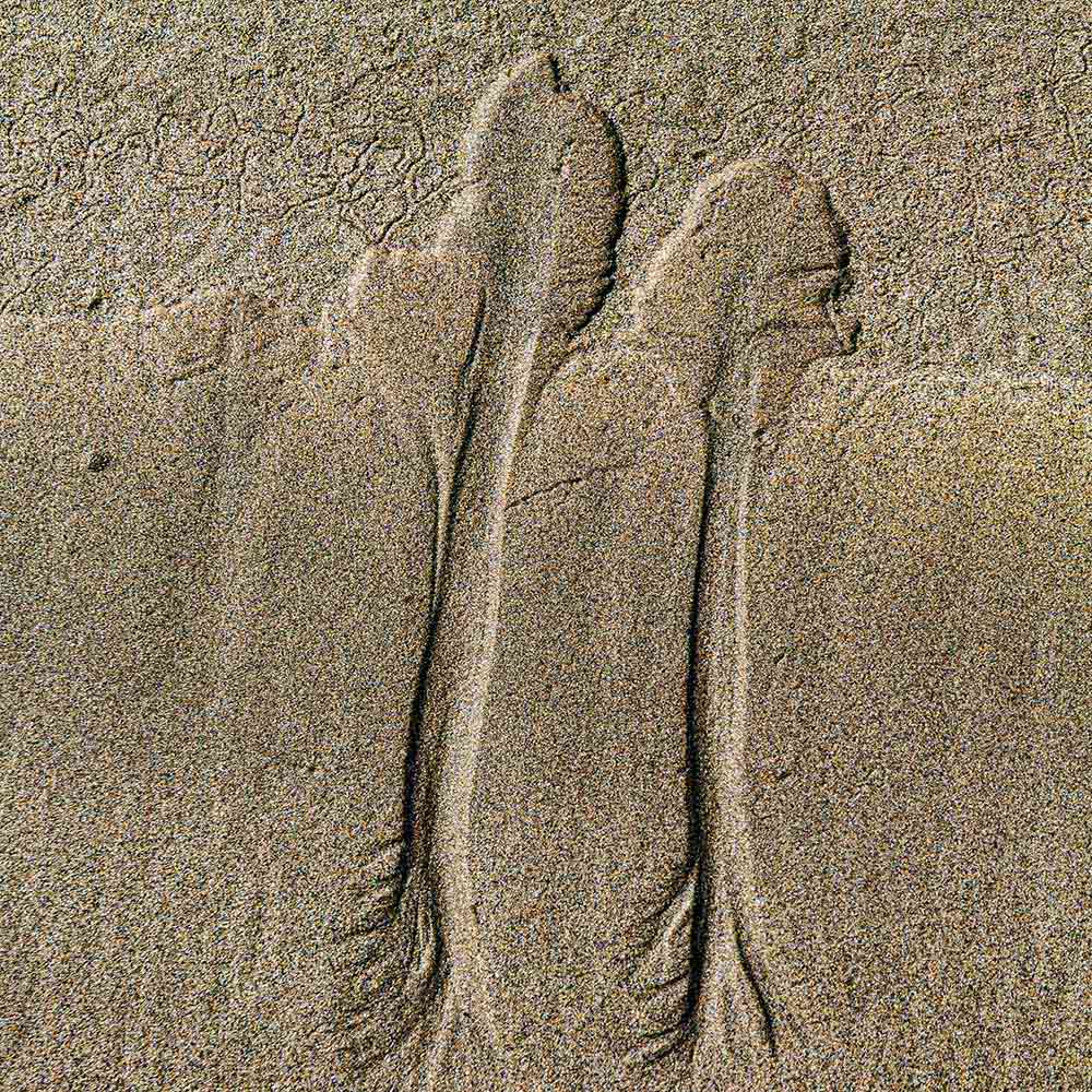 strands | Patterns in sand like sea vegetables, left by the tide, and shadows on a Breton beach