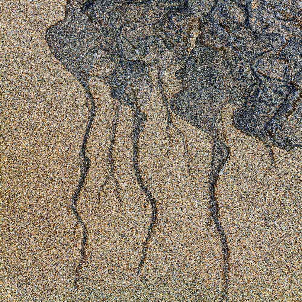 strands | Blue black manganese revealed by the receding tide on a Breton beach