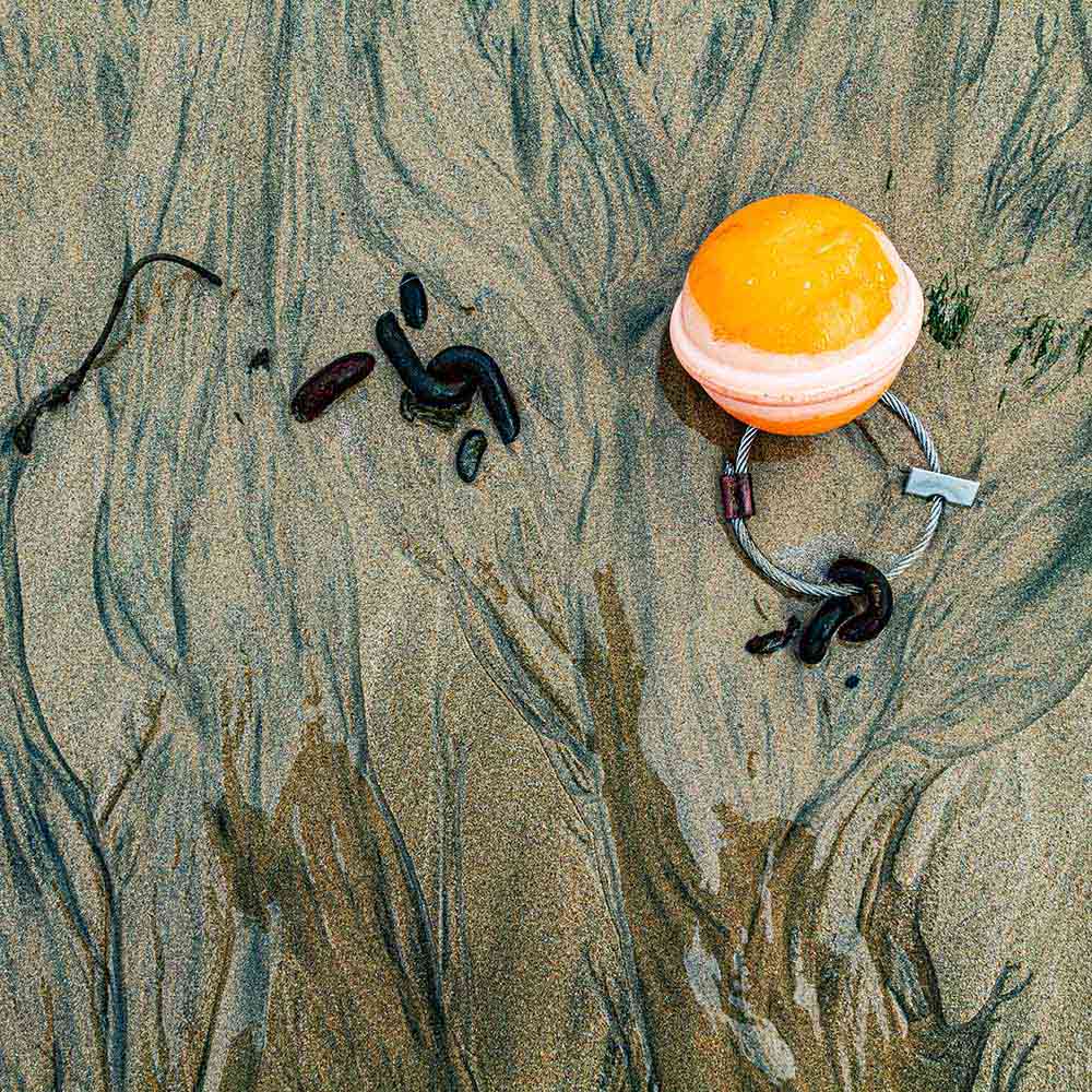 strands | Seaweed, stones and a buoy with iron chain with blue black manganese revealed by the receding tide on a Breton beach