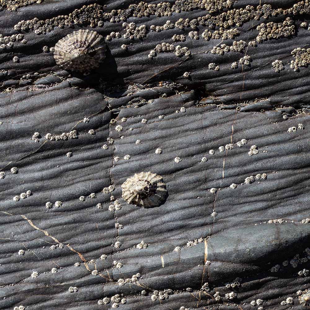 stones at Strangles Beach, North Cornwall