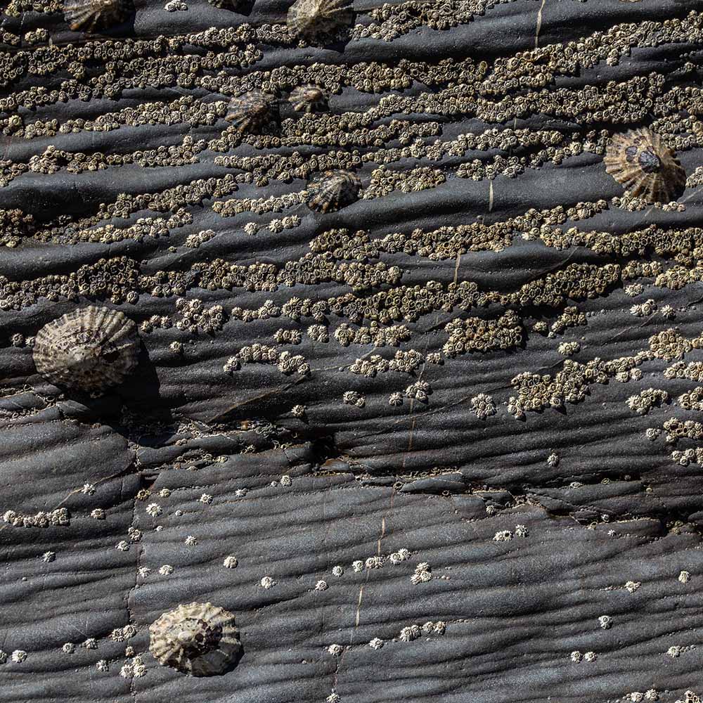 stones at Strangles Beach, North Cornwall