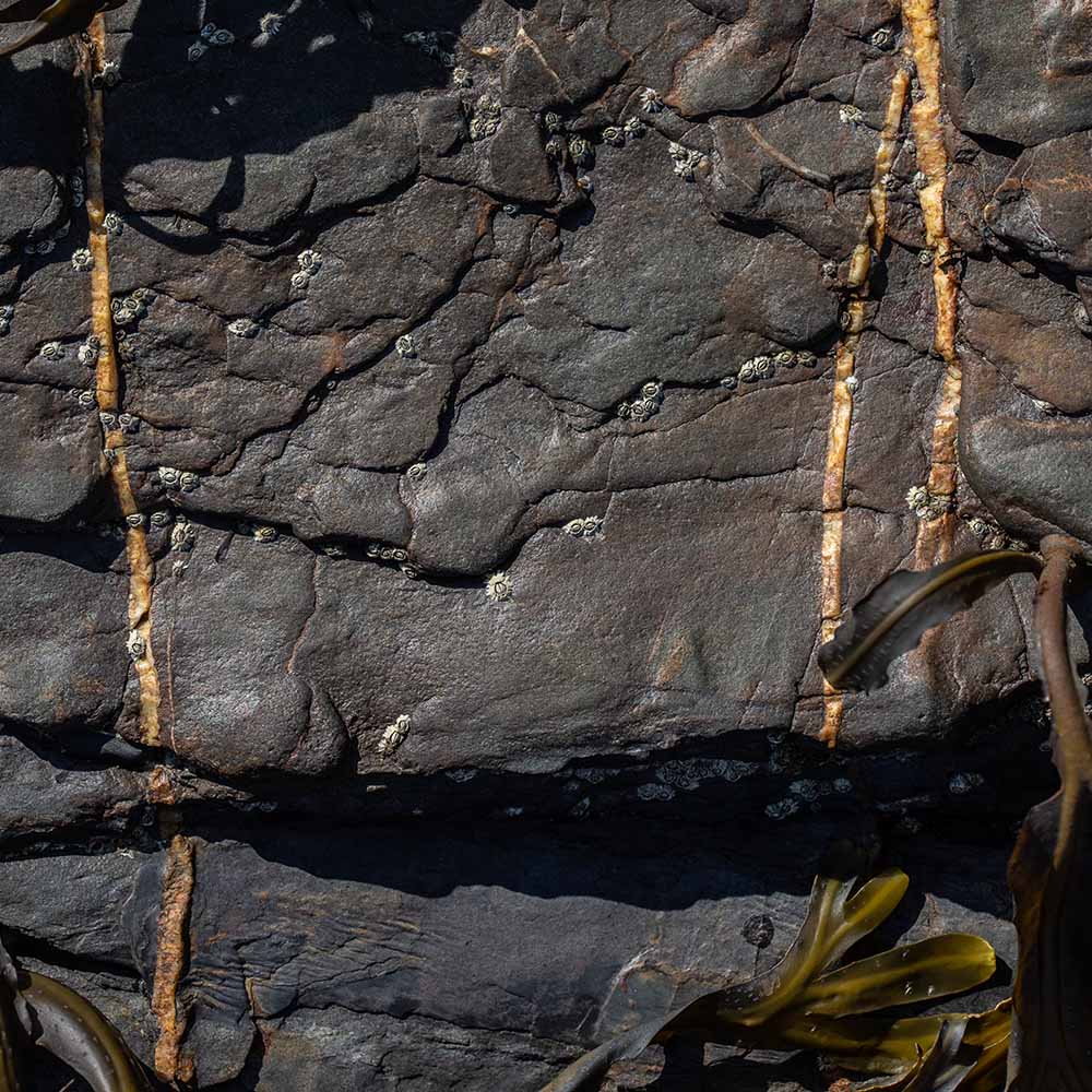 stones at Milook Haven, North Cornwall